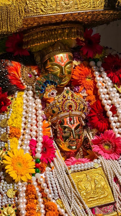 Devotees carrying a village devta palanquin at Kullu Dussehra.