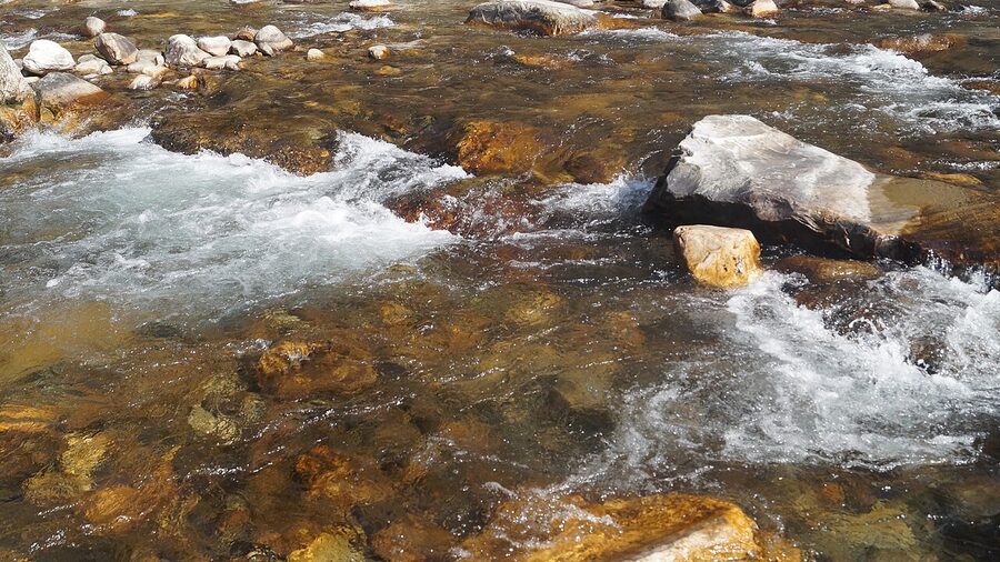 The Tirthan River flowing through forest in Tirthan Valley