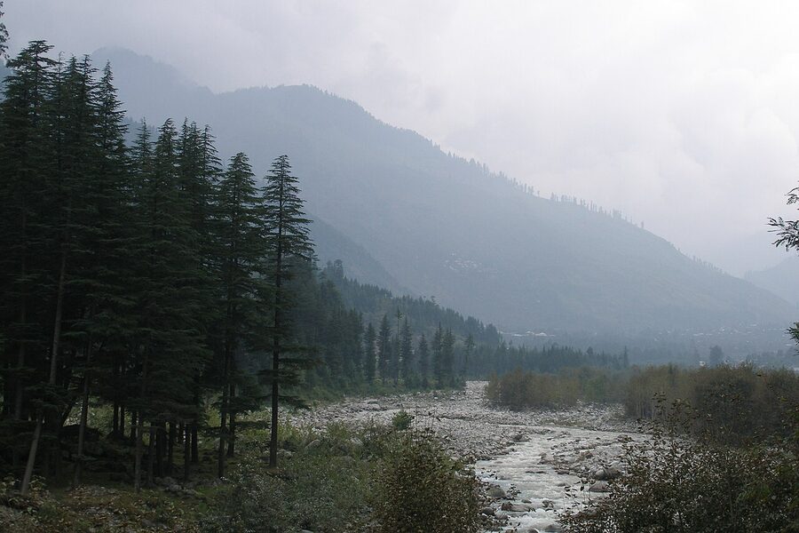 The Beas river running through the Kullu Valley near Manali with deodar forests on both banks.