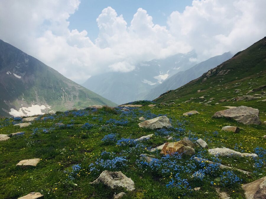 A high alpine meadow in the Manali sanctuary area with the Kullu valley and Pir Panjal beyond.