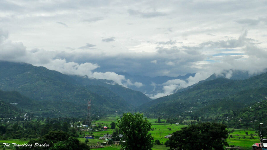 The terraced apple-orchard fields of Karsog Valley in Mandi district.