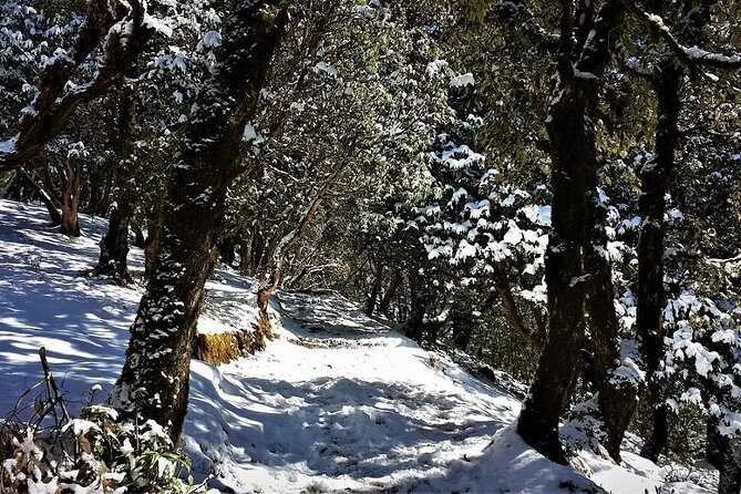 Nag Tibba 2 Days Trek (Pantwari to Pantwari) - Price and Value: How $24 Becomes a Real Weekend Deal