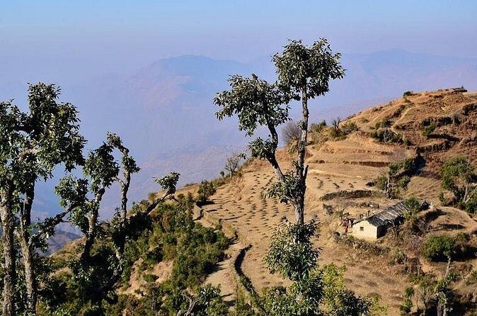 Nag Tibba 2 Days Trek (Pantwari to Pantwari) - Weather, Difficulty, and What to Pack Without Guessing