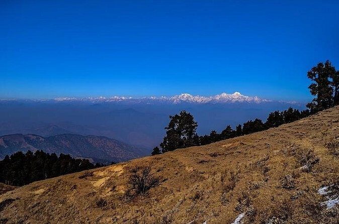 Nag Tibba 2 Days Trek (Pantwari to Pantwari) - Booking What You Need to Know (Without the Noise)