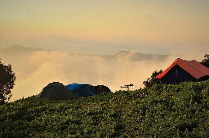Nag Tibba 2 Days Trek (Pantwari to Pantwari) - Should You Book Nag Tibba from Pantwari to Pantwari?