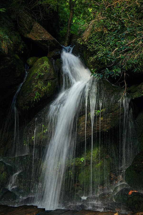Jana Waterfall west of Naggar in dense pine forest, Kullu district.
