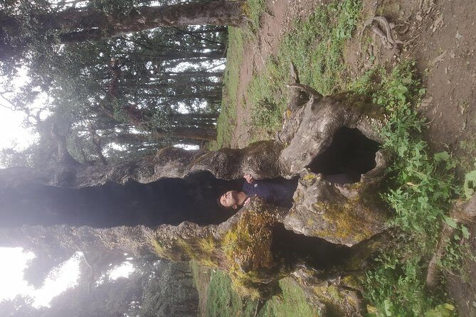 Nagtibba Trek (Pantwari to Pantwari) - Day 2 summit plan: the 3:30 am start and the sunrise payoff