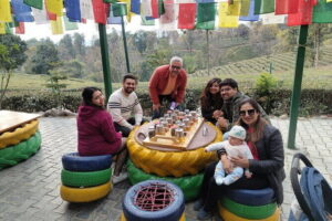 Palampur and Bir Tour, Tea Gardens, Adventures and Paragliding - Palampur tea gardens: what the tea-tasting moment is really about