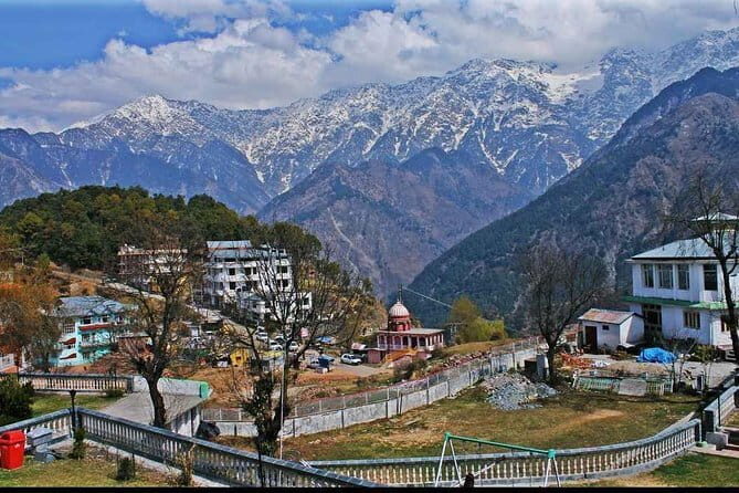 Palampur and Bir Tour, Tea Gardens, Adventures and Paragliding - Himalayan Adrenaline in Palampur: optional thrills that actually fit the day