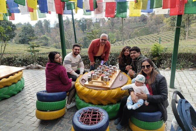 Palampur and Bir Tour, Tea Gardens, Adventures and Paragliding - Palampur tea gardens: what the tea-tasting moment is really about