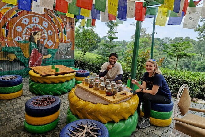 Palampur Tea Garden Tour - Who this Palampur tea garden tour is best for