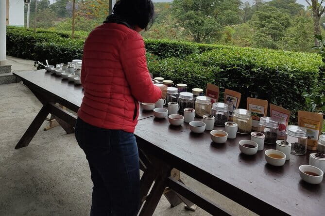 Palampur Tea Garden Tour - Getting there: pickup, private group time, and the 8-hour rhythm