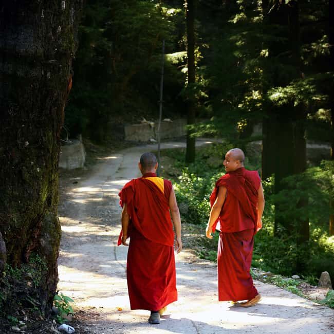 Private 2-Days McLeodGanj & Dharamshala Guided Tour - Tibetan Museum, Men-Tsee-Khang, and the Healing-Texts Connection