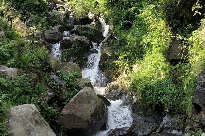 Private 6 hrs Mcleodganj & Dharamshala City Tour - A 6–7 hour private circuit that stays focused