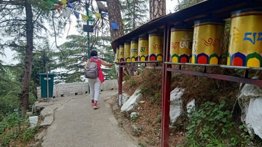 Private 6 hrs Mcleodganj & Dharamshala City Tour - McLeodganj Market time: crafts, culture, and practical souvenir browsing