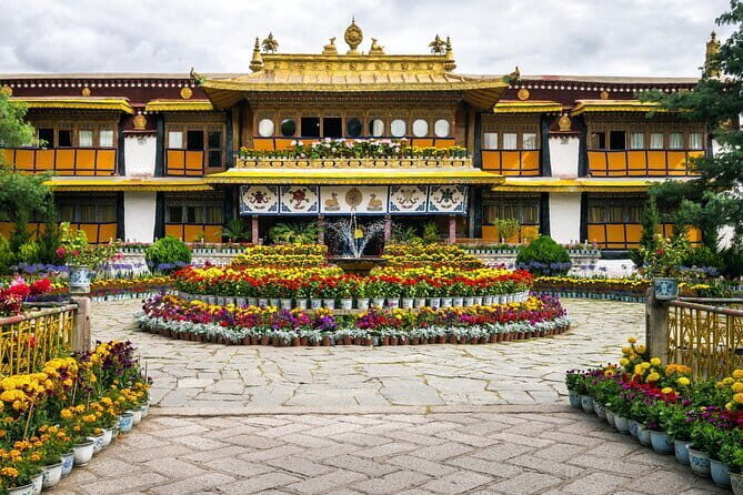 Private Guided Dharamshala Tour with Scenic Views & Lunch - A private Dharamshala day that makes Tibetan Buddhism easier to understand