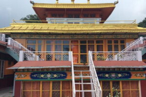 Private Guided Dharamshala Tour with Scenic Views & Lunch - Price and value: what you’re paying for beyond the sites