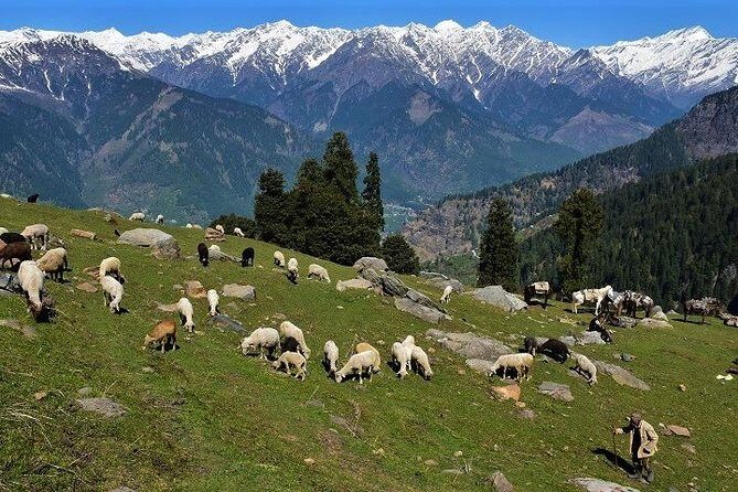 Private One Day Hiking Trip in Manali, Scenic Mountain Trail in Manali - Price and Value: What $43.91 Buys in the Mountains