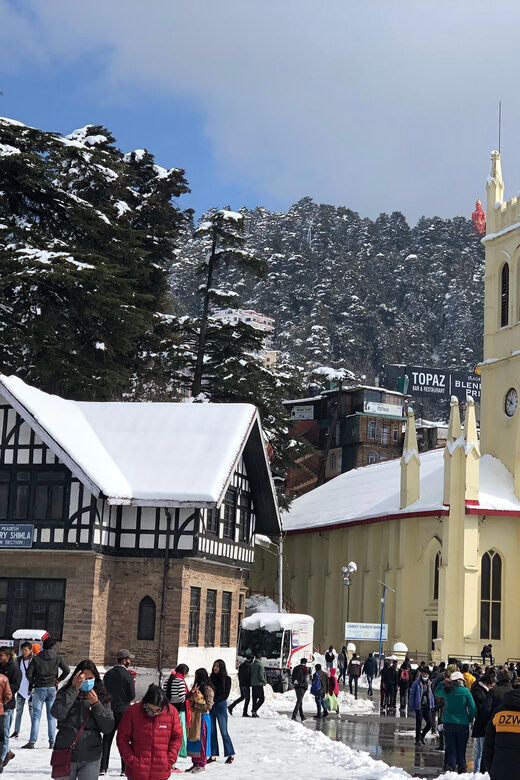 Shimla: Experience the Best of Shimla with a Local Guide - Price and Value: What $43 Really Buys You