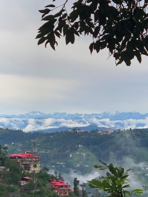 Shimla: Guided Walk Tour-Heritage, Culture & Colonial Trail - Ending at IIAS: the Viceregal Lodge note you must know