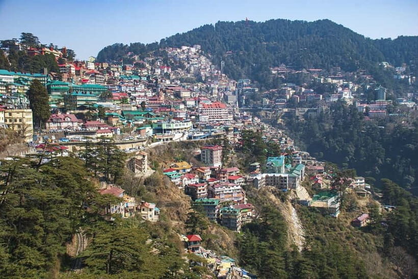 Shimla: Hiking Tour to Jakhu Hill with Local Guide - The local guide makes or breaks it (and these guides do a lot)