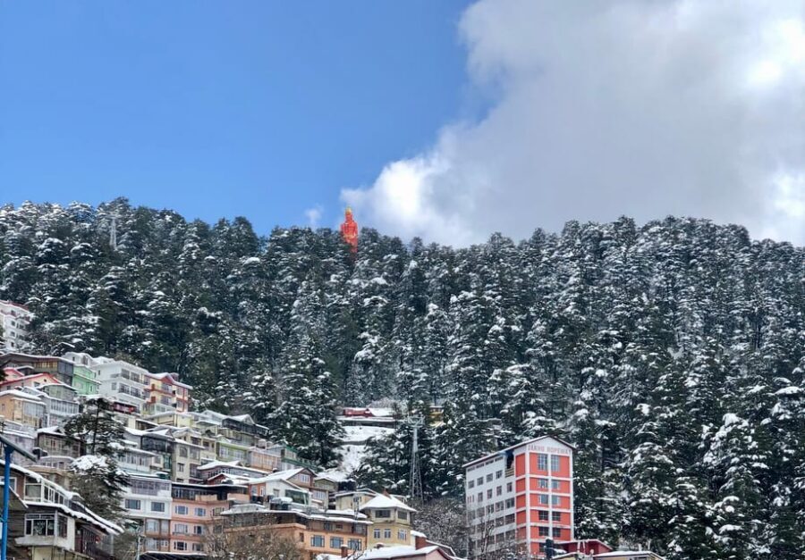 Shimla: Hiking Tour to Jakhu Hill with Local Guide - Price and value: why $10 can feel unusually fair