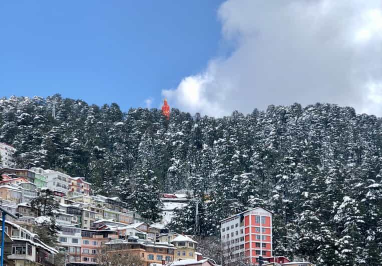 Shimla: Hiking Tour to Jakhu Hill with Local Guide - Should you book this Jakhu Hill hiking tour?