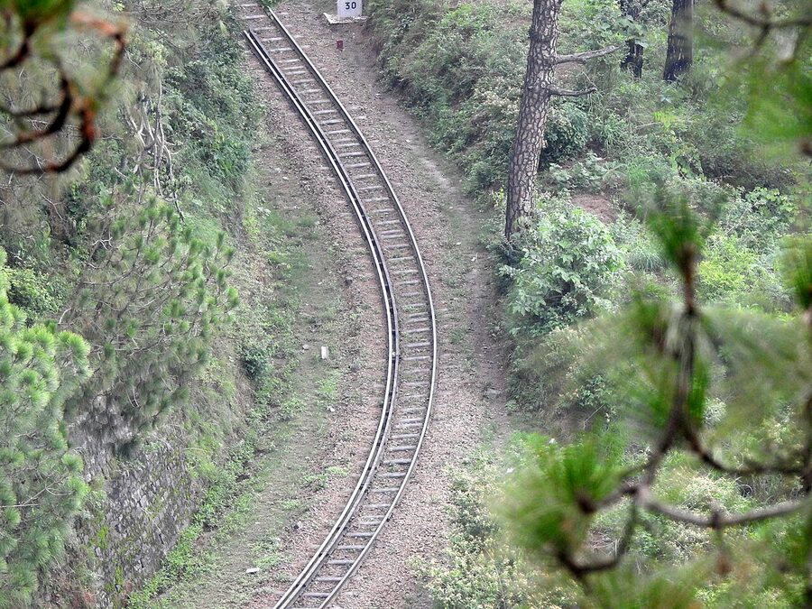 The Kalka to Shimla railway track winding along a hillside cut, with deodars on the slopes above.