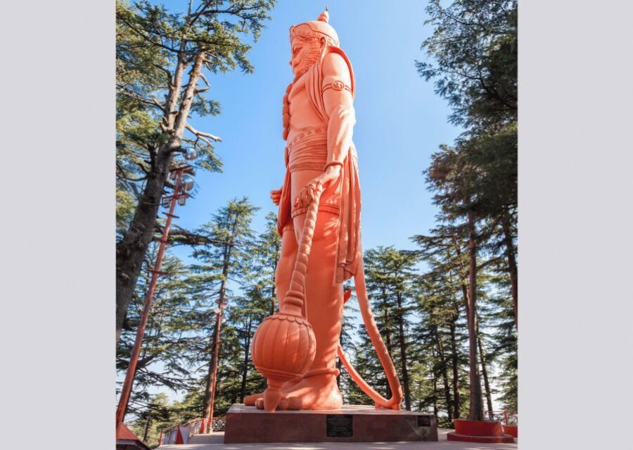 Shimla Nature Walk (3 Hours Guided Trekking Experience) - Key things you’ll notice on this Shimla nature walk