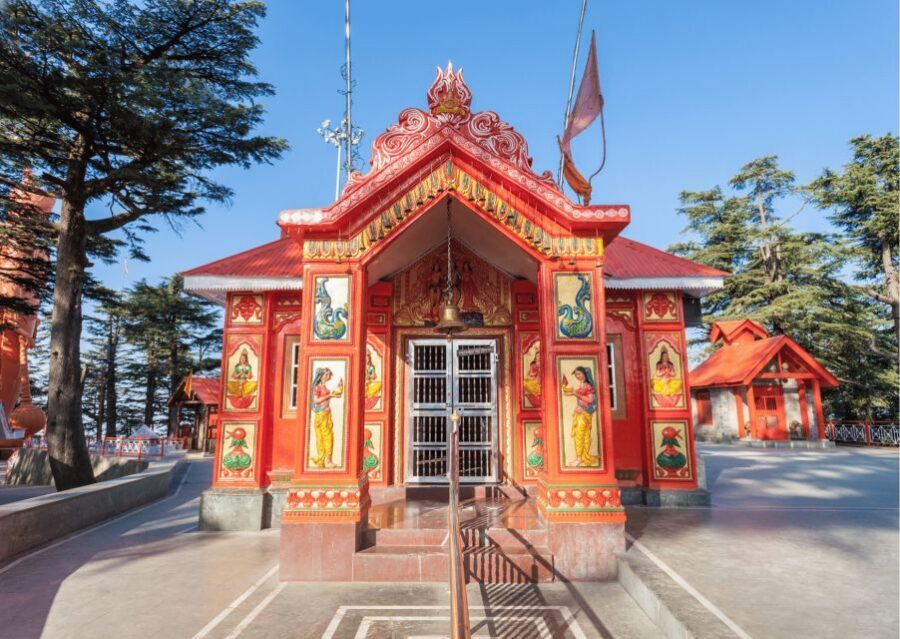 Shimla Nature Walk (3 Hours Guided Trekking Experience) - Should you book this Shimla nature walk?