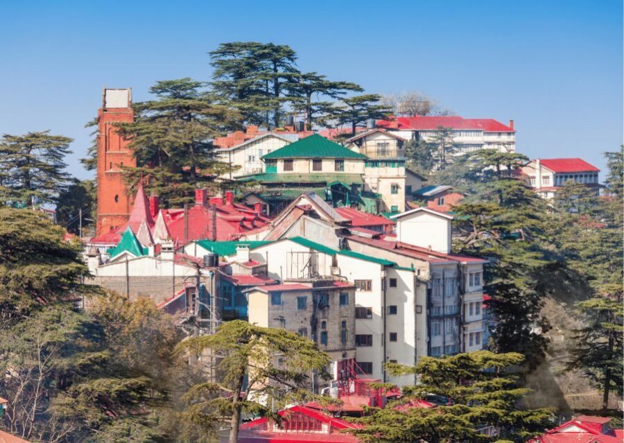 Shimla Nature Walk (3 Hours Guided Trekking Experience) - Down trek to The Ridge: Maggi, tea, and an easy landing into the city