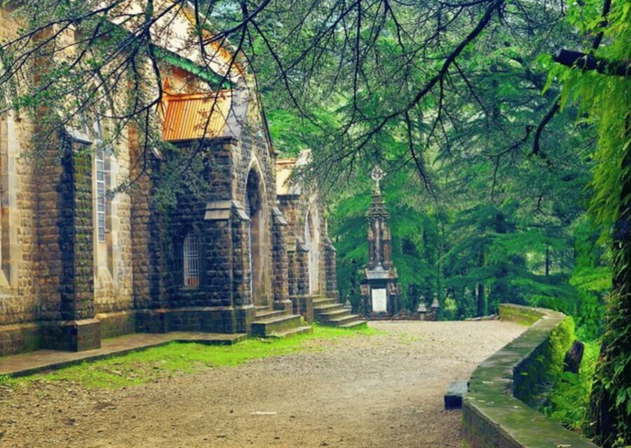 Shimla Nature Walk (3 Hours Guided Trekking Experience) - What the guide style means for your day