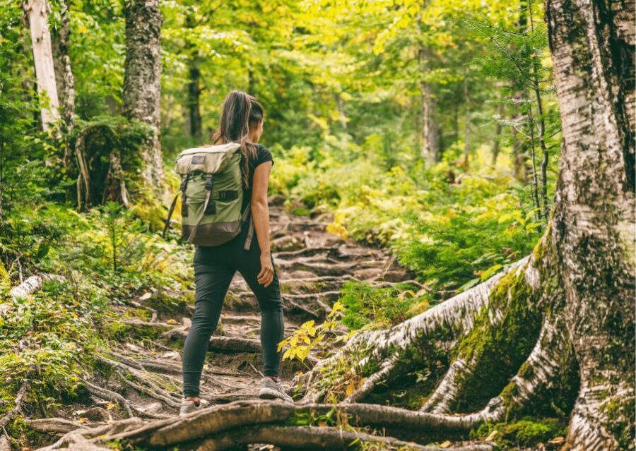 Shimla Nature Walk (3 Hours Guided Trekking Experience) - Who should book this Shimla nature walk