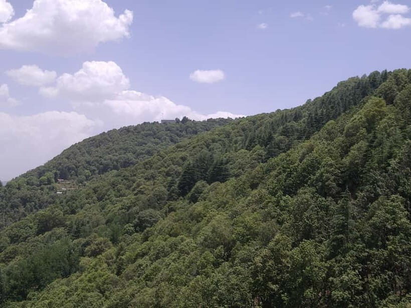 Shimla: Temples Tour with full day Local Driver Guide - Why This Temples Tour Works So Well