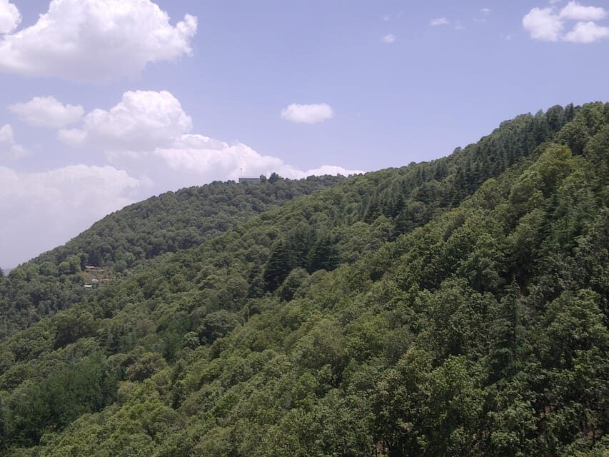 Shimla: Temples Tour with full day Local Driver Guide - The Lift and Scandal Point: Breaks That Actually Matter