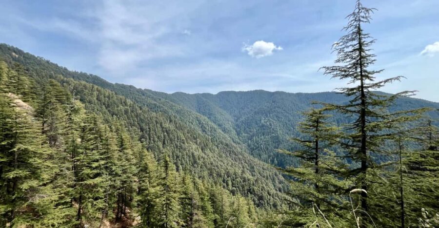 Shimla: Wildlife Sanctuary & Water Catchment Guided Tour - Key things you’ll remember from this Shimla sanctuary tour