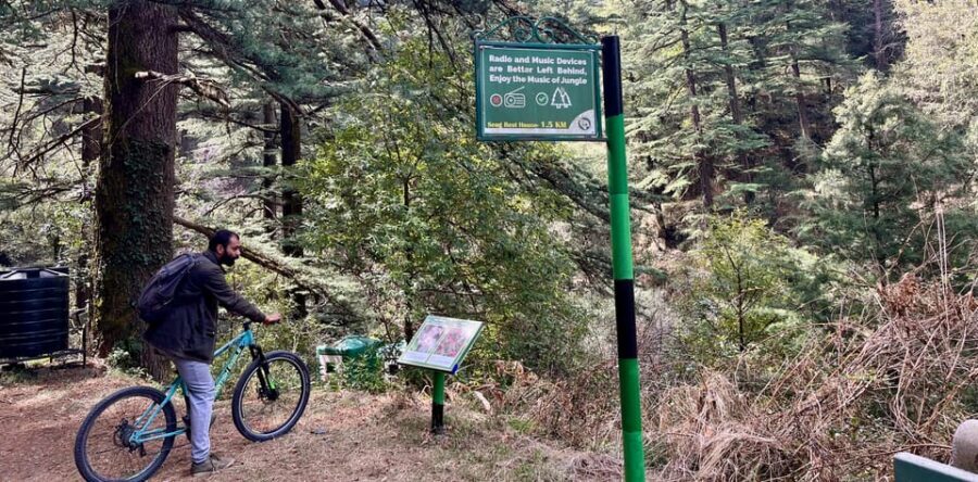 Shimla: Wildlife Sanctuary & Water Catchment Guided Tour - Shimla’s Water Catchment Forest: Why This Feels Away From the City