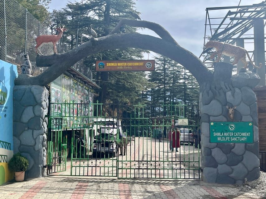 Shimla: Wildlife Sanctuary & Water Catchment Guided Tour - Nature Details at 1900–2620 Meters: What You’ll Notice on the Trails