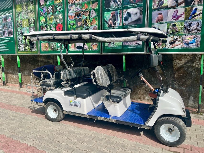 Shimla: Wildlife Sanctuary & Water Catchment Guided Tour - E-Rickshaw Wildlife Tour: Quiet Sightings Without the Hard Trek