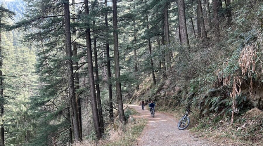 Shimla: Wildlife Sanctuary & Water Catchment Guided Tour - Timing, Weather, and What to Bring for Comfort