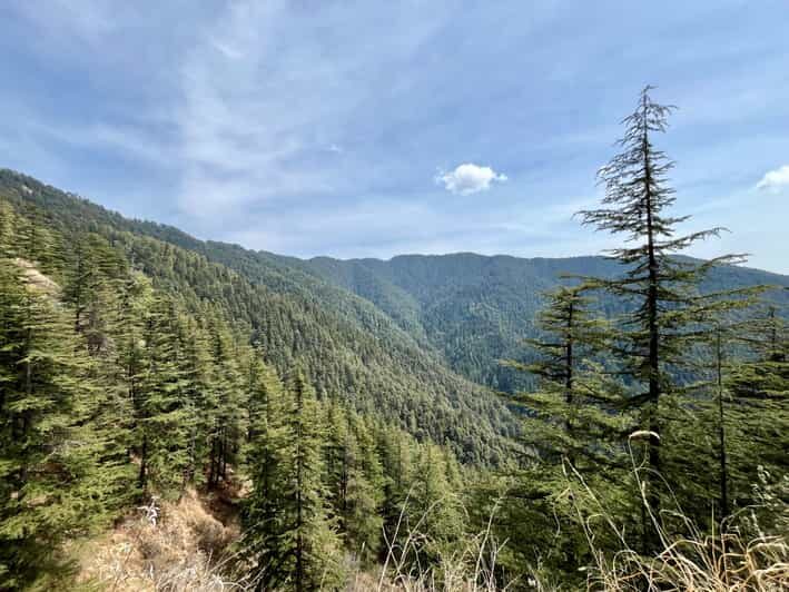 Shimla: Wildlife Sanctuary & Water Catchment Guided Tour - Price and Value for a Private Half-Day in Shimla