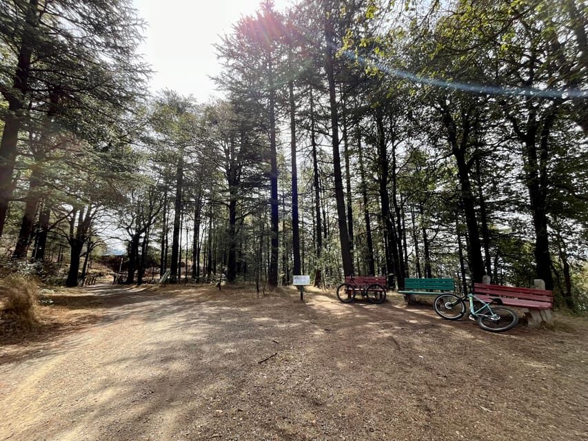 Shimla: Wildlife Sanctuary & Water Catchment Guided Tour - Cycling the Off-Road Jungle Track (and When a Walk Is Better)