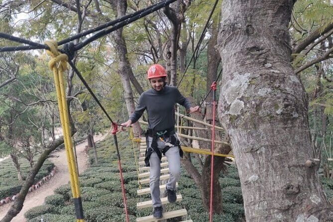 Tea Top Adventure Activities - What You Actually Do on the Rope Courses (30 Minutes That Feel Longer)