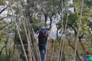 Tea Top Adventure Activities - Your Timing and Where It Fits When You’re Based in Dharamsala Area