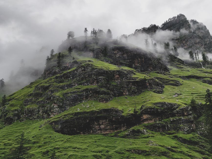 Mist over forested mountains in the Kullu Valley, Himachal Pradesh.