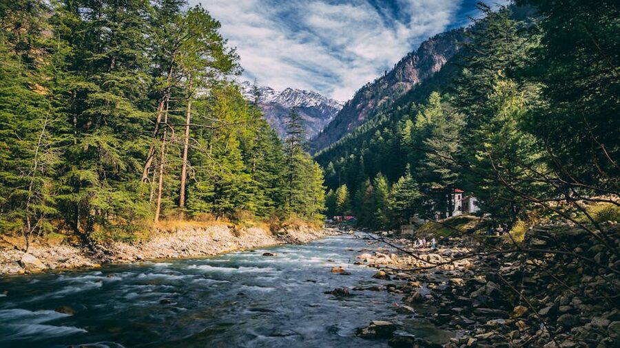 Forested river in Kasol Parvati Valley