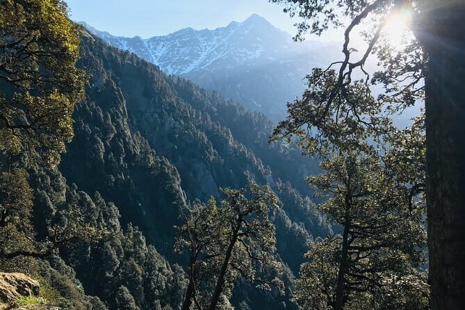 Triund Trek & Snow Line Trek - Day 2 descent and Bhagsu Waterfall add-on