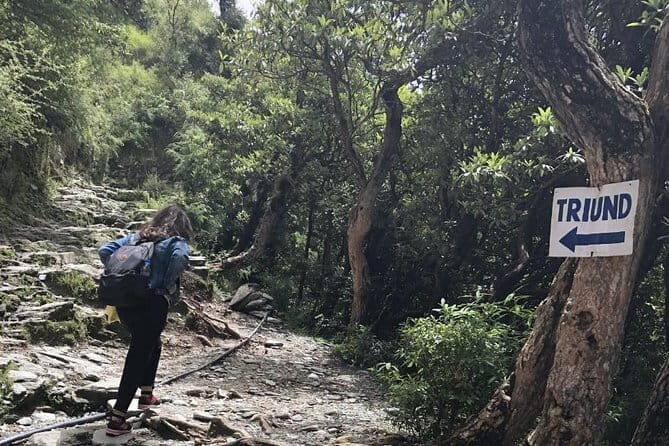 Triund Trek - Day 1: The hike up to Triund Hill, guided and steady