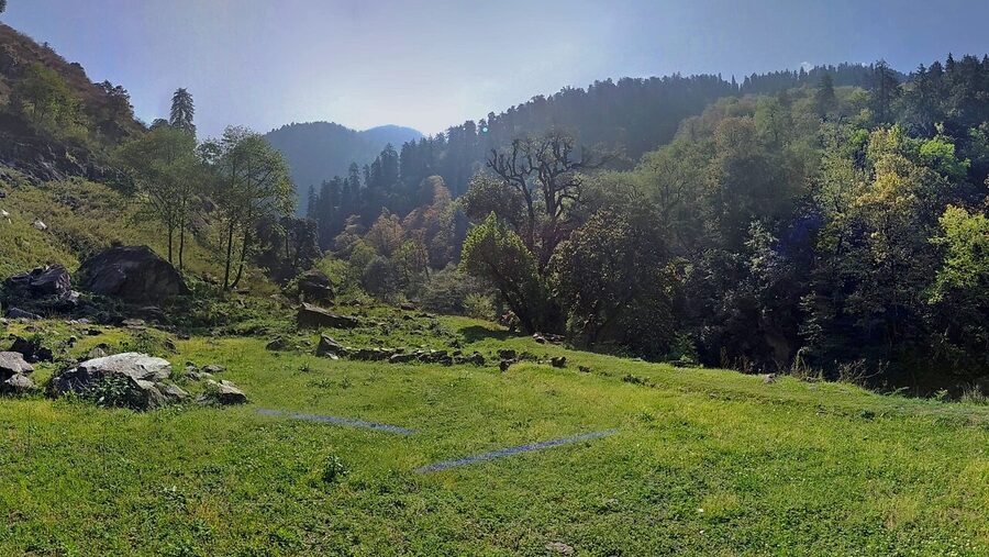 Forest vegetation inside the Great Himalayan National Park.