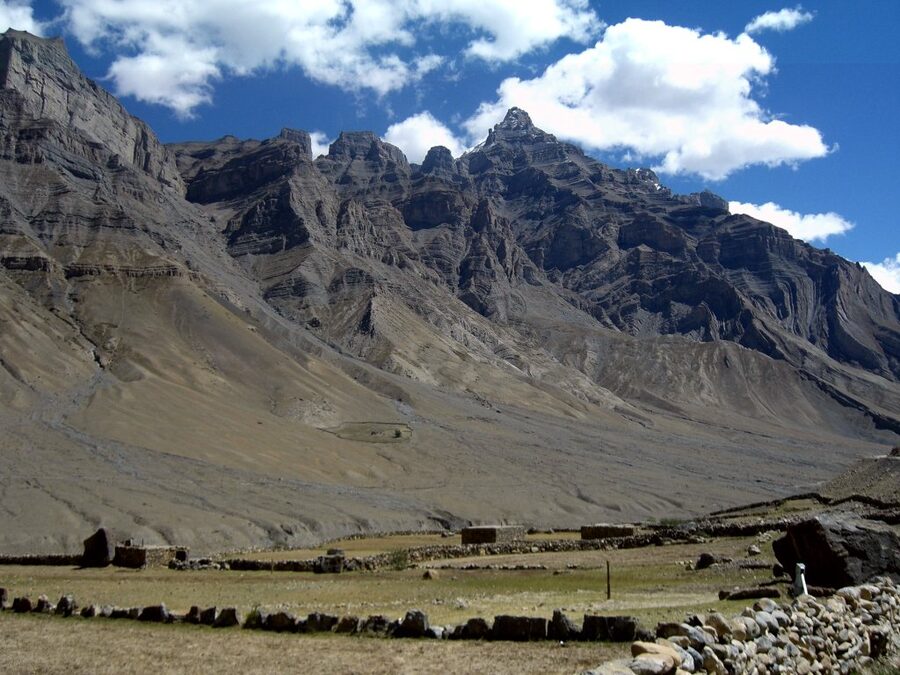 Pin Valley National Park in Spiti, with arid mountains and alpine flora.